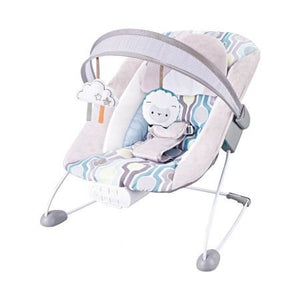 Baby Rocker & Swing Chair
