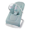 Baby Rocker & Swing Chair